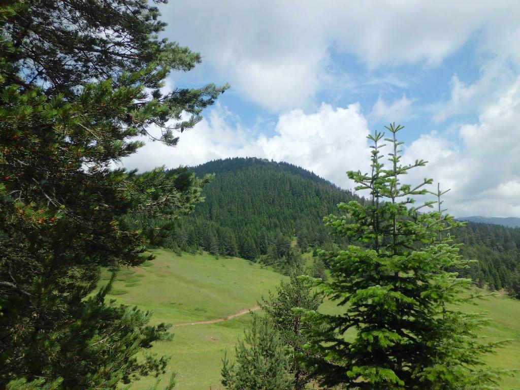 Ilgaz Derbent Hotel Exterior photo